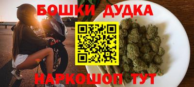 гидропоника Сланцы