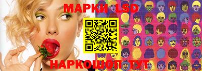 гидропоника Сланцы
