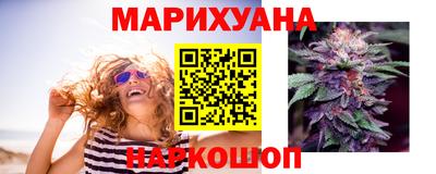 гидропоника Сланцы