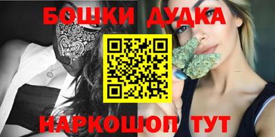 гидропоника Сланцы