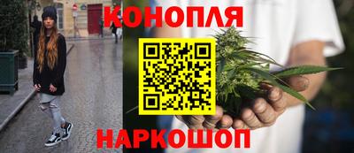 гидропоника Сланцы
