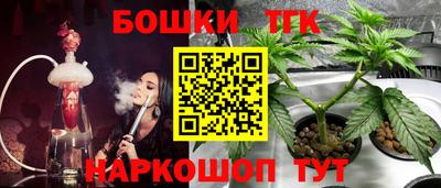 гидропоника Сланцы