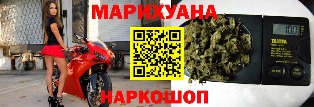 Канабис OG Kush Отрадный